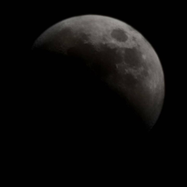 Profile Picture of Sherri.Bates (@germaszusru) on Tiktok