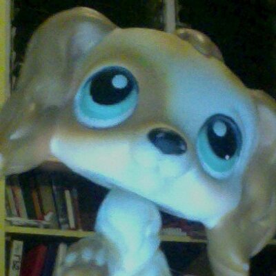 Profile Picture of Ashley LPS Bennford (@LPS_Ashley_Benn) on Twitter