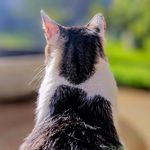 Profile Picture of fred passos📷 (@fredpassos_fotografia) on Instagram