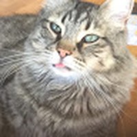Profile Picture of Jackie Condon (@jackie-condon-5) on Quora