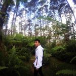 Profile Picture of busy (@riddlearnold) on Instagram