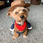 Profile Picture of Jeff Hollinshead (@jeff_hollinshead) on Instagram