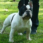 Profile Picture of Jason Kiley (@boss284068) on Instagram