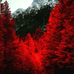 thomas mulè - Instagram Profile Picture of thomas mulè (@tomm.y05) on Instagram