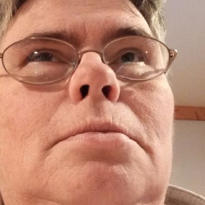 Profile Picture of Sherri Michaelson (@SherriMichaels9) on Twitter