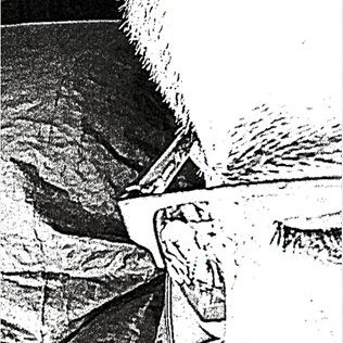 Profile Picture of Free-bird (@GregJeb1) on Twitter