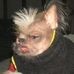 Profile Picture of Floyd Danner (@floyd.danner) on Facebook
