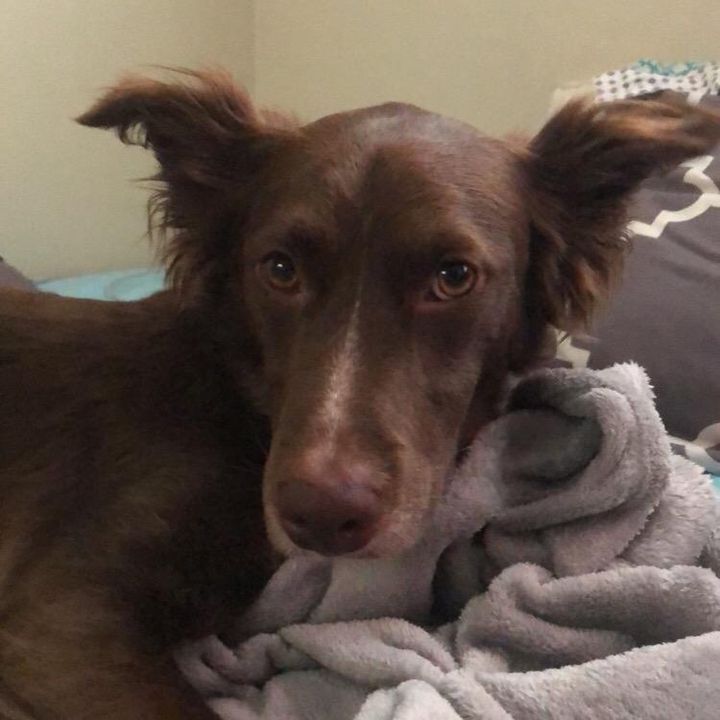 Profile Picture of Taylor Jolly (@@jolly5491) on Tiktok