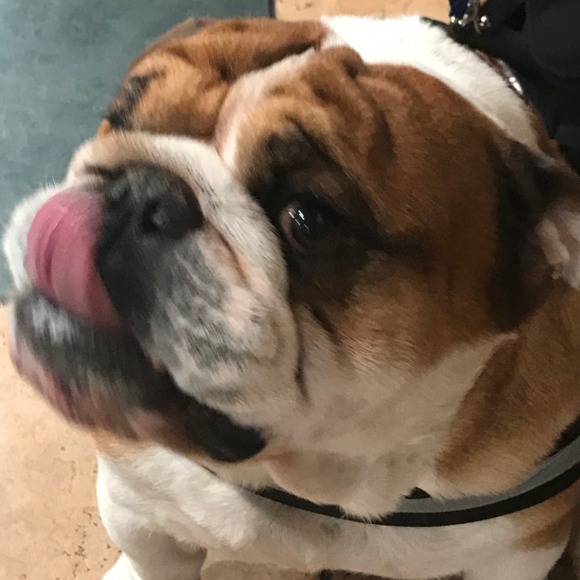 Profile Picture of Danny Espinosa (@dannyjersey) on Poshmark