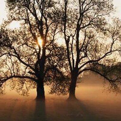 Profile Picture of Rudy Hogan (@rudesoul) on Twitter