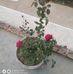 Profile Picture of Ashok Kumari Patel (@ashokkumari.patel.7) on Facebook