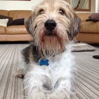 Profile Picture of Steve Weller (@steve-weller-11) on Quora