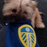 Profile Picture of Ian Hobson (@ian.hobson) on Instagram