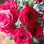 Profile Picture of Paula Balderas (@paula.balderas.520) on Instagram