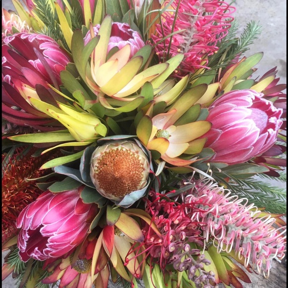 Profile Picture of Marci Solander (@marcids0316) on Poshmark