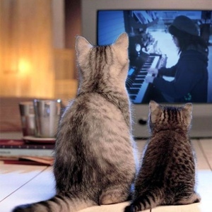 Profile Picture of Ji-eun Chung (@jjing_) on Myspace