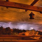 Profile Picture of Byron Newman (@byronnewman) on Instagram