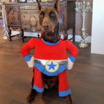 Profile Picture of Darren Angus (@darren8angus) on Instagram