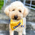 Profile Picture of BalloonsOki Kimono Oki (@kimonooki_with_chano) on Instagram