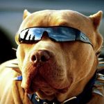 Profile Picture of Alexander Kirichenko (@sashok536) on Instagram