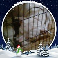 Aimee Neely - Quora Profile Picture of Aimee Neely (@aimee-neely-2) on Quora