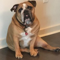 Profile Picture of David Uhlig (@david-uhlig-5) on Quora