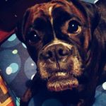 Profile Picture of Γεωργία Δάκου (@georgepapajohn) on Instagram