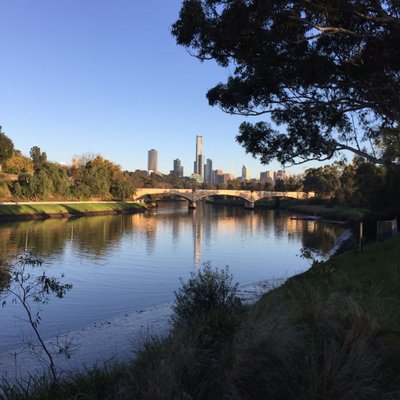 Profile Picture of Matt Coghlan (@MattCoghlan) on Twitter