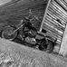 Profile Picture of Jordan Shepherd (@jordan.shepherd.3781) on Facebook