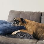 Profile Picture of Alice Bartlett (@alice.bartlett.712) on Facebook