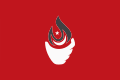 Profile Picture of Victory Party (Turkey)on Wikipedia