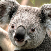 Profile Picture of Miriam Haddad (@miriamhaddad6735) on Youtube