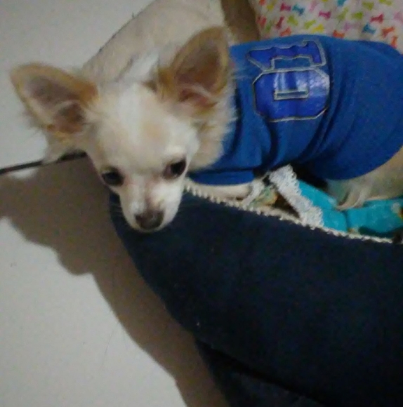 Profile Picture of Isabel Madera (@isabelmadera) on Poshmark