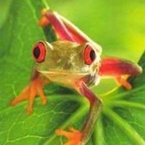 Profile Picture of Latisha Paul (@405654070) on Myspace