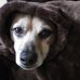 Profile Picture of Thomas Manthey (@thomas.manthey.739) on Facebook
