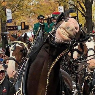 Profile Picture of Randy Snavely (@randysnavely) on Instagram