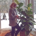 Profile Picture of Kelly Haskell (@wholesomegal) on Instagram