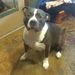 Profile Picture of Bill Botts (@kuruk8683) on Pinterest