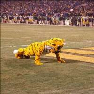 Profile Picture of Andrew Parrish (@andrewparrish12) on Twitter