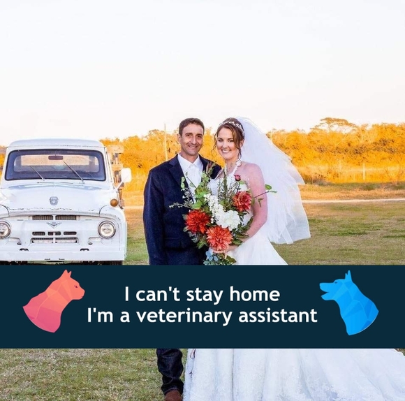 Profile Picture of Brandy Hussing (@brandy1663) on Poshmark