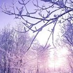 Profile Picture of Andrew Horrigan (@horriganandrew) on Instagram