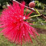 Profile Picture of Mark Ruel (@mark_ruel__mmsuu) on Instagram