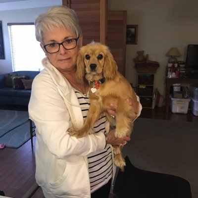 Profile Picture of Marilyn Wright (@Marilyn02667524) on Twitter