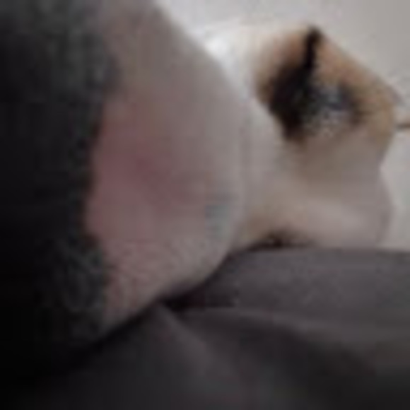 Profile Picture of Jazmyn Washington (@jazmynforu999) on Poshmark