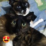 Profile Picture of Luz Vanegas (@luz.vanegas.3745) on Instagram