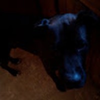 Profile Picture of Jason Pickrell (@jason-pickrell-7) on Quora