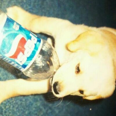 Profile Picture of Chad Ewing (@CGreg14) on Twitter