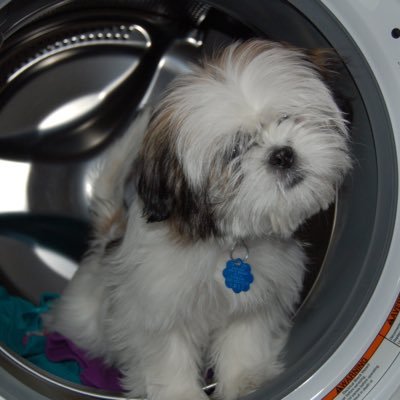 Profile Picture of Denis Gates (@DenislaMenace2) on Twitter