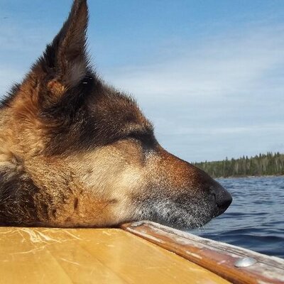 Profile Picture of Shawn Sadler (@sgdsadler) on Twitter