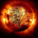 Profile Picture of Chris Potts (@the_solar_tree) on Instagram